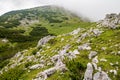 Alpine summerÃÂ meadow large limestone rocks and blue and yellow flowers with spring gentian Gentiana verna and fog in the